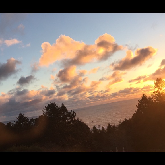 Meet your Posher, Asphodel - Picture 5 of 6